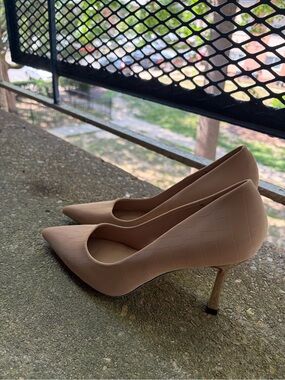 Women's Nude Pointed Toe Stiletto Pumps